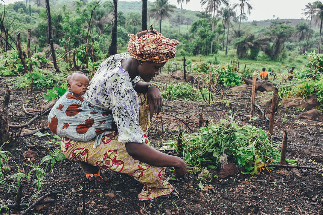Women Leading Climate Resilience in Rural Kenya