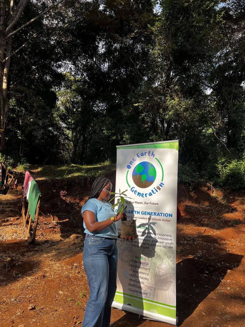 Forest Noise Event