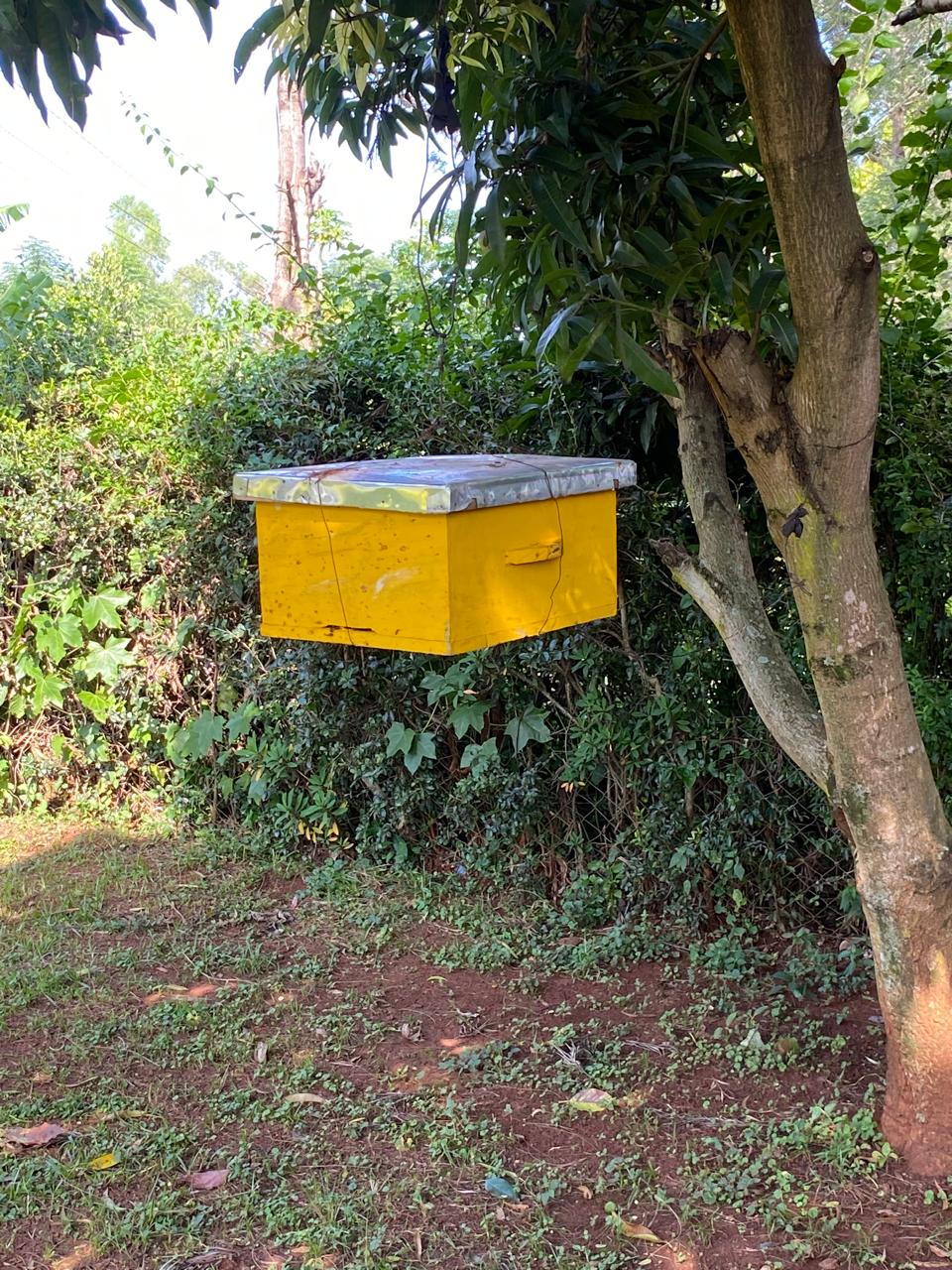 BEEKEEPING TRAINING FOR YOUTH IN MUNDAYA VILLAGE, MATAYOS SUBLOCATION, BUSIA COUNTY